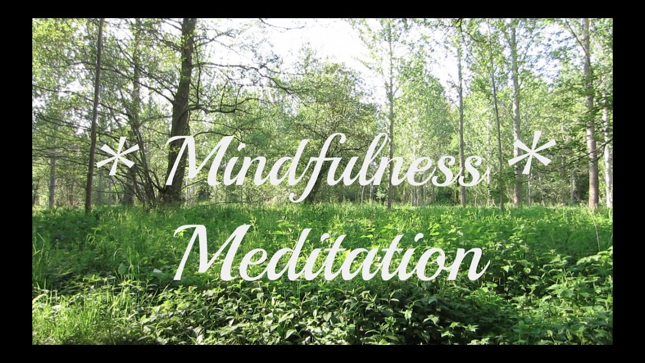 15 MINUTES of Flowing Water and Nature Sounds - Mindfulness Meditation *Relaxing *Soothing