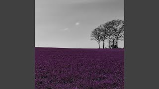 Kleinstadtfieber (RAESA Remix)