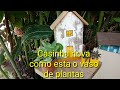 Casinha nova e como esta o vaso de plantas que fiz.