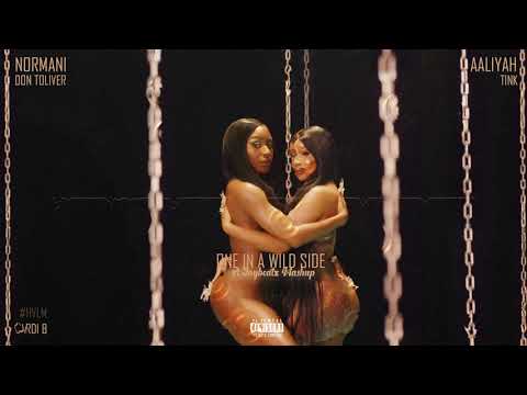 Normani X Aaliyah X Don Toliver X Tink - One In A Wild Side Hvlm