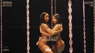 Normani X Aaliyah X Don Toliver X Tink - One in a Wild Side (A JAYBeatz Mashup) #HVLM