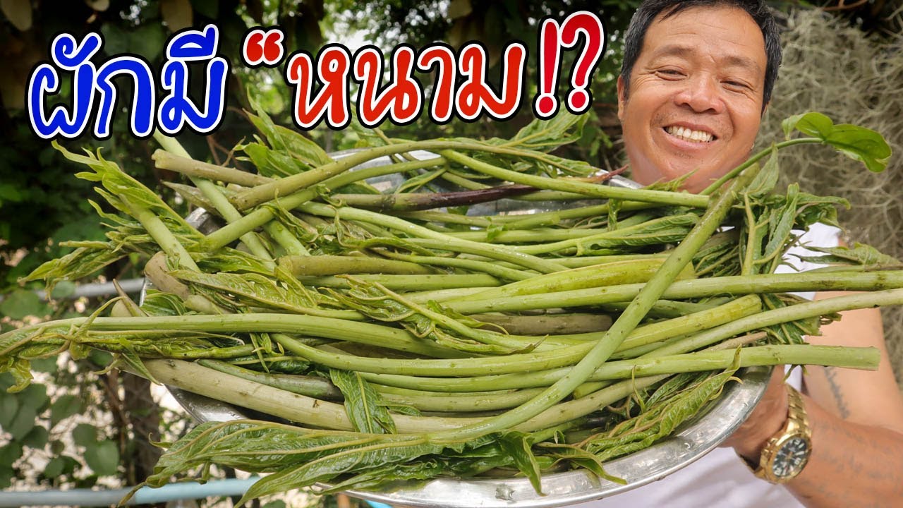 คลิปนี้พ่อกลับบ้าน!! เพราะอยากให้แม่ได้กินเมนูนี้ ผมกับพ่อไปหาเองกับมือ!!