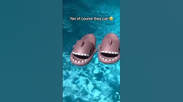 Sharkies #like #share #subscribe #slide #sharkslide #comment #viral #youtube #youtubeshorts #summer