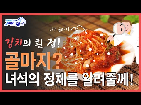 [김치&팩트체크] 김치에 생긴 희색 점, 확실히 알려줄께!