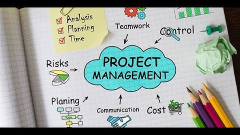 Systems Thinking _Program & Project Management