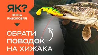 видео: Як обрати поводок для хижака? Проста рибалка для початківців картинка: Як обрати поводок для хижака? Проста рибалка для початківців