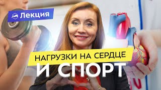 Когда физические нагрузки опасны для сердца? Как тренировки влияют на него? Профилактика болезней