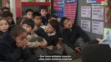 Cápsula 11: Preguntas de comprensión oral