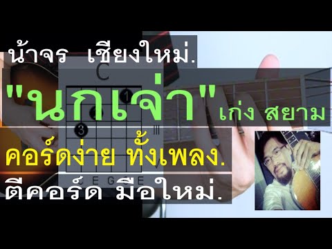 สอนกีต้าร์ | นกเจ่า | น้าจร เชียงใหม่ - คอร์ดง่าย มือใหม่ ตีคอร์ด ( เก่ง สยาม ) cover