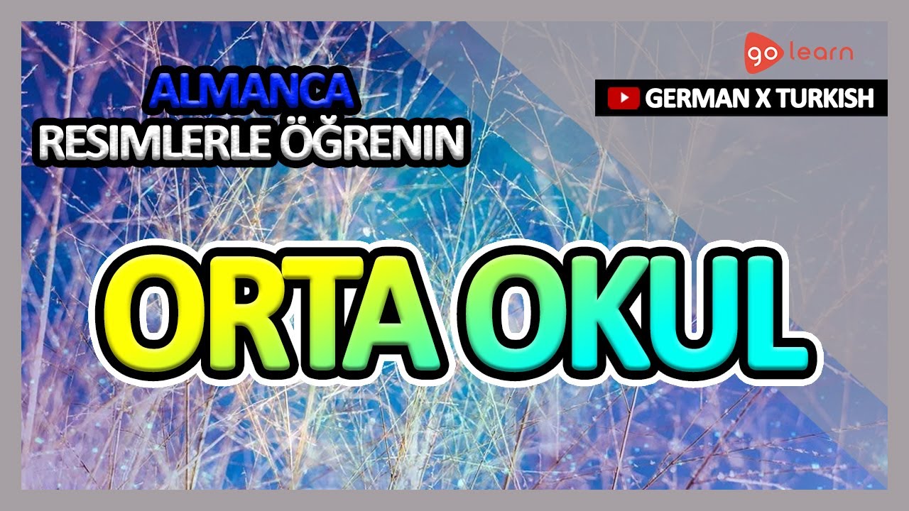 Almanca Resimlerle Öğrenin | Almanca Kelime Bilgisi Orta okul | Golearn