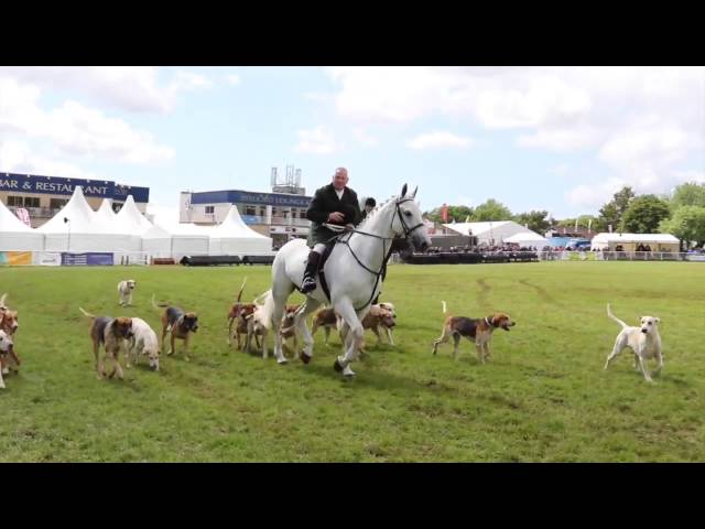 Royal Bath and West Show, 2015