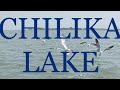 Chilika lake ,birds,dolphin,crab,snail and how we got fooled buying gems from seashell of ocean