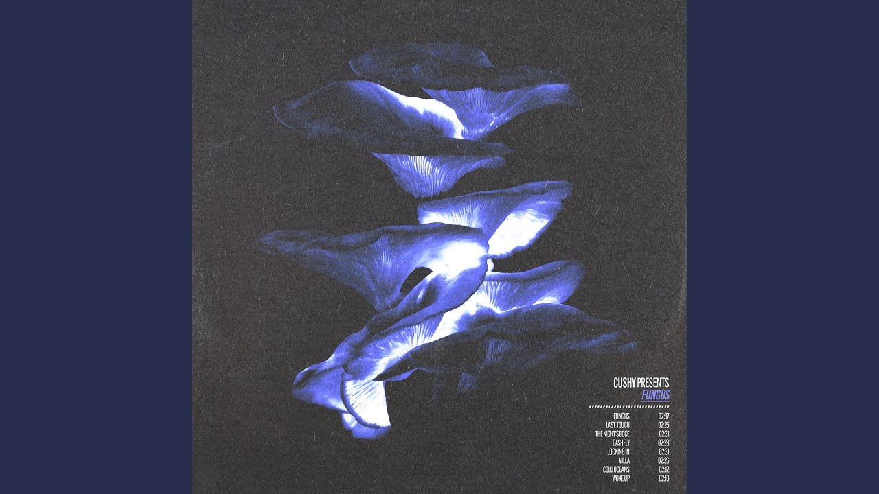 Tonton Cold Oceans di YouTube Tonton Cold Oceans di YouTube