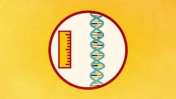 DNA: Blueprints of Life