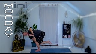 10min vinyasa to tap into the body by Yoga with Carter 93 views 2 years ago 10 minutes, 49 seconds