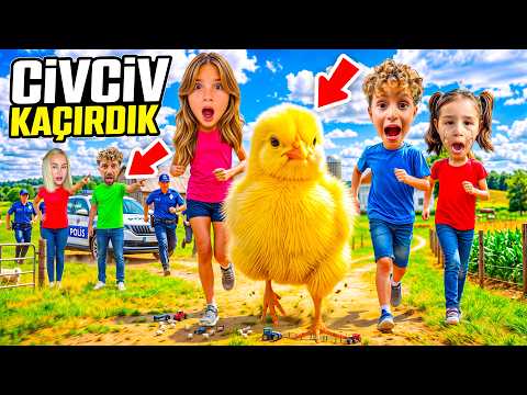 CİVCİV KAÇIRDIK ‼️ KUZEY ELİF HOROZ BABANI KOVALADI !!