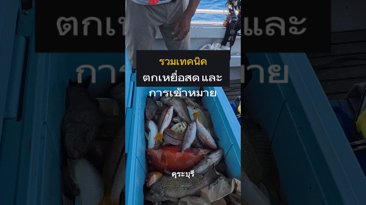 รวมเทคนิคตกปลาด้วยเหยื่อปลาทูสด และ การเข้าหมาย ดูหมายจากGPS