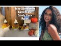 Beautiful Rustic Farmhouse Candy Corn Decor #farmhousedecor #beautiful #easy