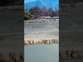 YouTube shorts for nature mountain view gaya #bhojpuri #song