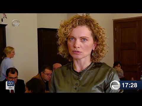 ევროპასთან ინტეგრაციის კომიტეტის სხდომა