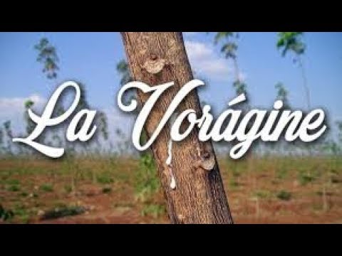 Miniatura de la reseña en video RESUMEN DE LA VORAGINE| PROBLEMATICAS| INTENCION DEL AUTOR| CONCLUSION