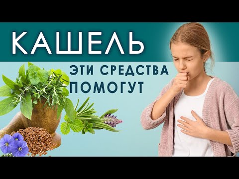 Эти средства помогут