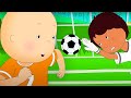 Le football ÉCHOUE, COMPÉTENCES et OBJECTIFS | Caillou en Français