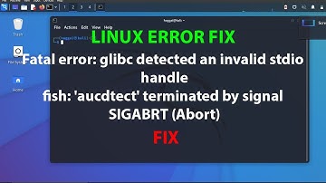 LINUX ERROR FIX: Fatal error: glibc detected an invalid stdio handle
