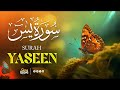 Surah yaseen yasin   in heart soothing voice  sense quran tv