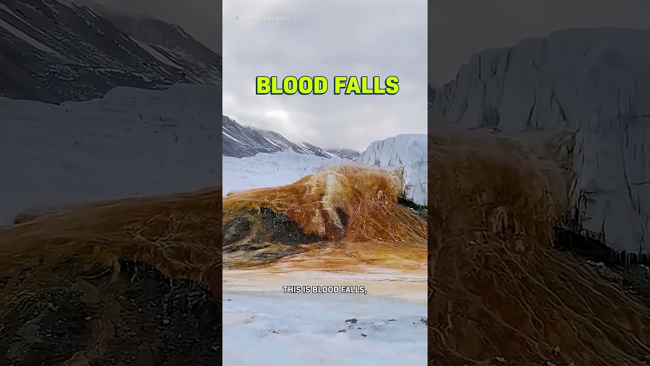 This Glacier Is Bleeding. It Gets Weirder.