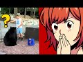 This Bear Needs To Go! | Meme Videos