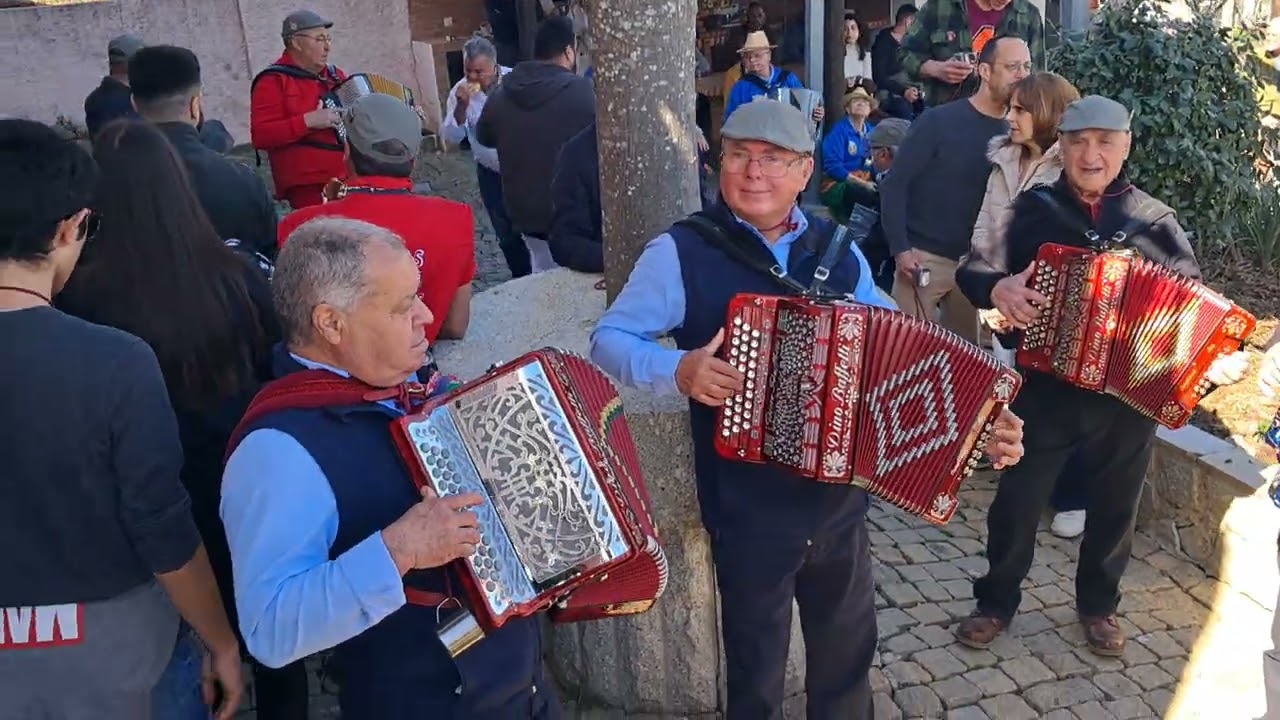 Concertinas de Santo André na Rota das Adegas 2026 do Vale Chiqueiro- Santo André das Tojeiras 