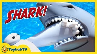Batman & Baymax Shark Chase! Fun Escape Adventure for Kids with Spiderman & Water Toys