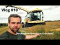 Vlog #10 Grünland Häckseln mit Krone BigX630 und Saatgut aufbereiten