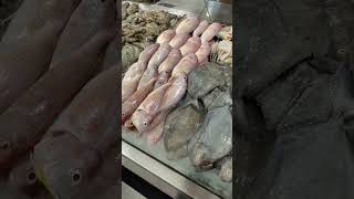 Fish Collection sylcon Super Market kadavanthrakochi