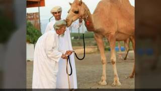 شلة قلوب بيضاء. كلمات: خليفة السعيدي. أداء: ناصر النعيمي و محمد العرافي البادي. ابداع و روعة