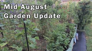 August Heat: What's Still Growing In The Garden