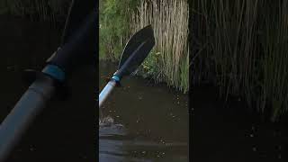 Любим мы такие речушки. #river #каналпетрович #лето2025 #kayak #активныйотдых #природа #beautiful