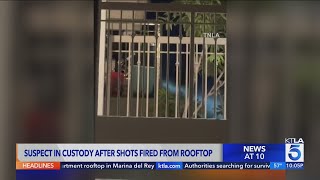 Famous Suspect arrested after shots fired from apartment rooftop Wealth