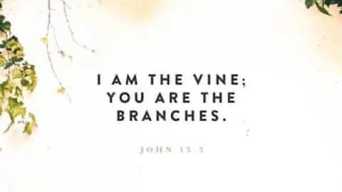 Morning Devotional John 15:5,8