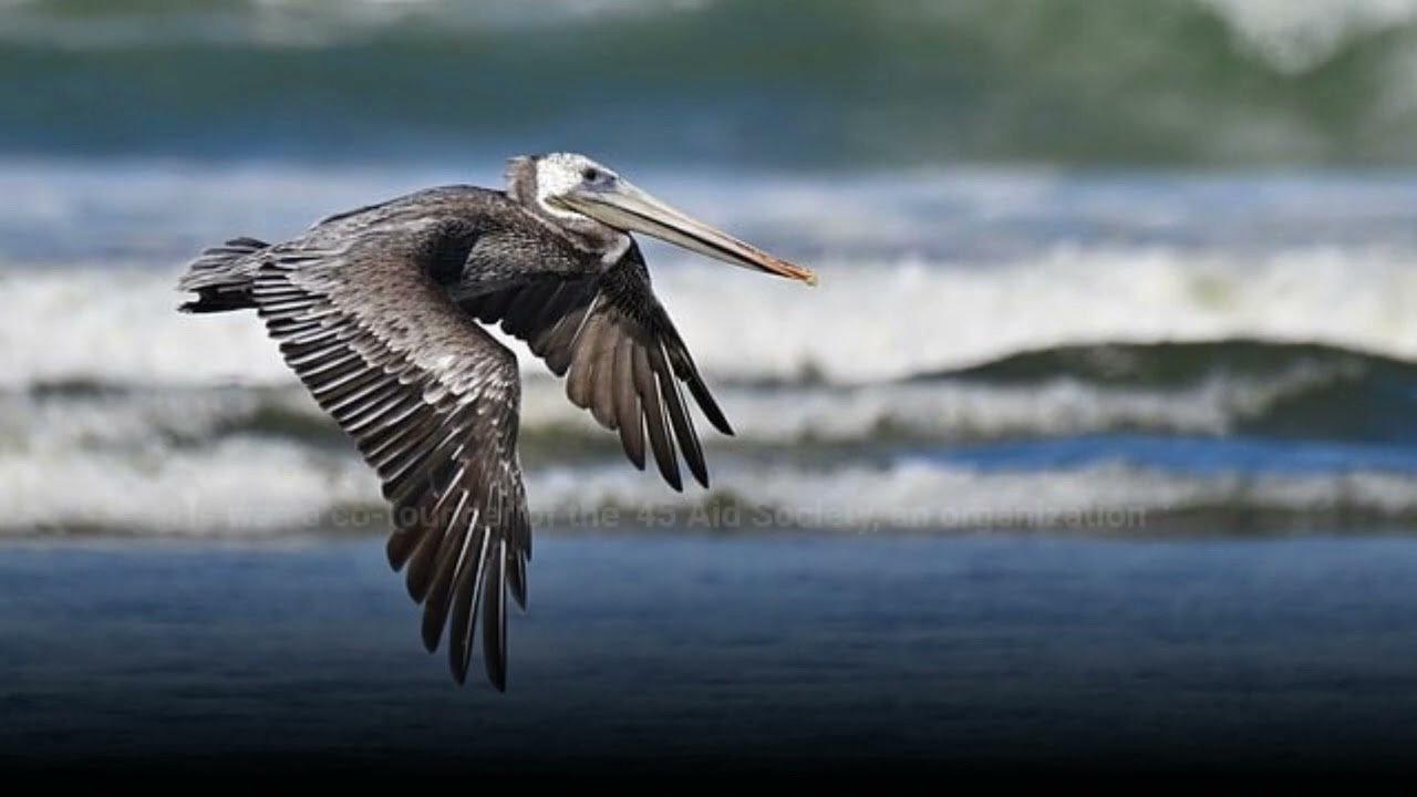 Remembering Sir Ben Helfgott: A Holocaust Survivor's Inspiring Journey