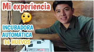 Mi experienciacon la incubadora de 36HUEVOS