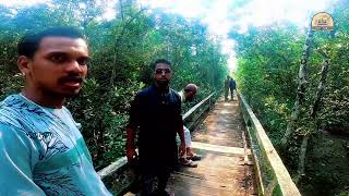 হারবাড়িয়া সুন্দরবনের অন্যতম একটি পর্যটন স্থান।