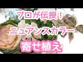 【寄せ植え】流行りのニュアンスカラーを上手に使う秘訣!