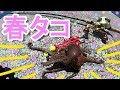 【タコ釣り】『MEGA』クラッカーで春タコ釣れた！