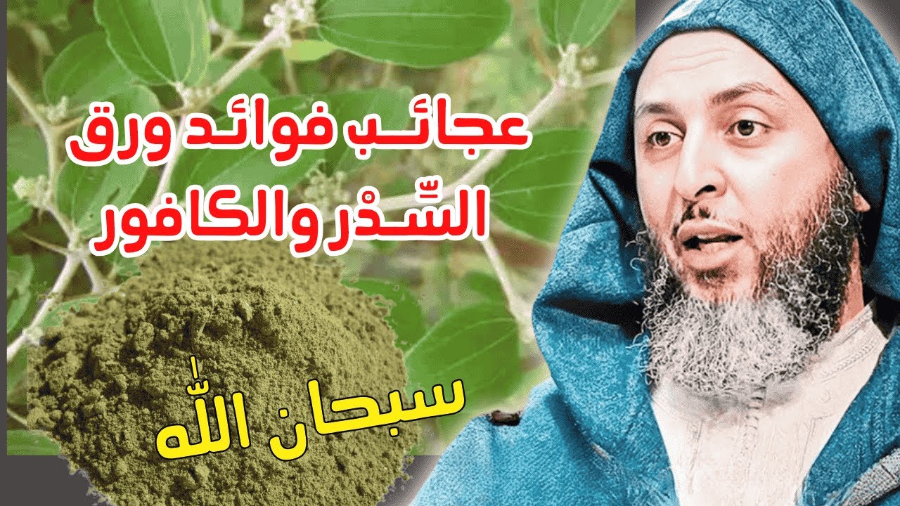 تعرف على فوائد ورق السدر والكافور سبحان الله I الشيخ سعيد الكملي