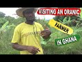 Visiting An Organic Farmer In Ghana