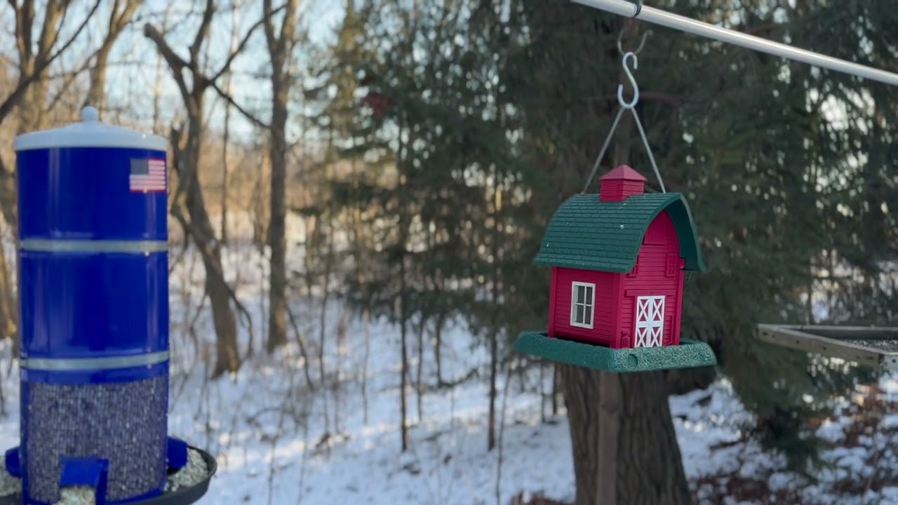 Red Barn   Plastic Bird Feeder
