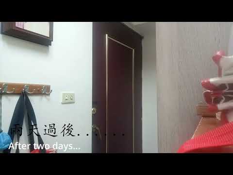 【關於青春可能讓你很意外的point－青少年自殺預防】第十六組：人生壓力