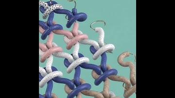 Interlace Loop Animation: Watch this Mind-Blowing Looping Visual Masterpiece 🌀  #animation #loop